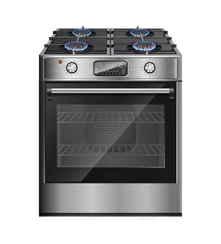 Electric & Gas stove